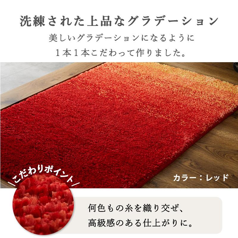 グラムスタイル 在庫処分 特価 玄関マット 室内 屋内 50×80 北欧