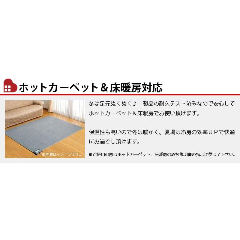 ラグ ラグマット カーペット 3畳 190×240cm 北欧柄 おしゃれ 抗菌 消臭 防ダニ 抗ウイルス 花粉対策 床暖房対応 日本製 / ポレン_9