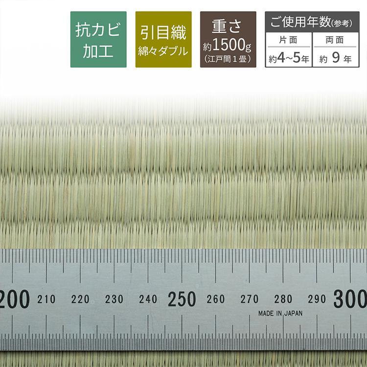 グラムスタイル カーペット い草 10畳 10帖 352×440cm 畳の上に敷く