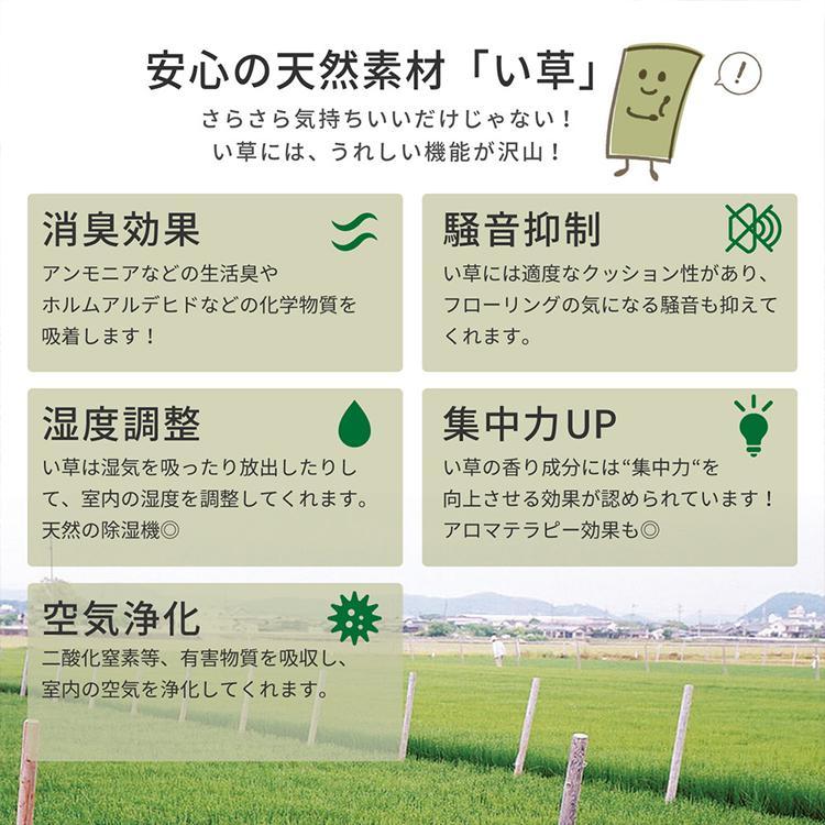 グラムスタイル カーペット い草 10畳 10帖 352×440cm 畳の上に敷く