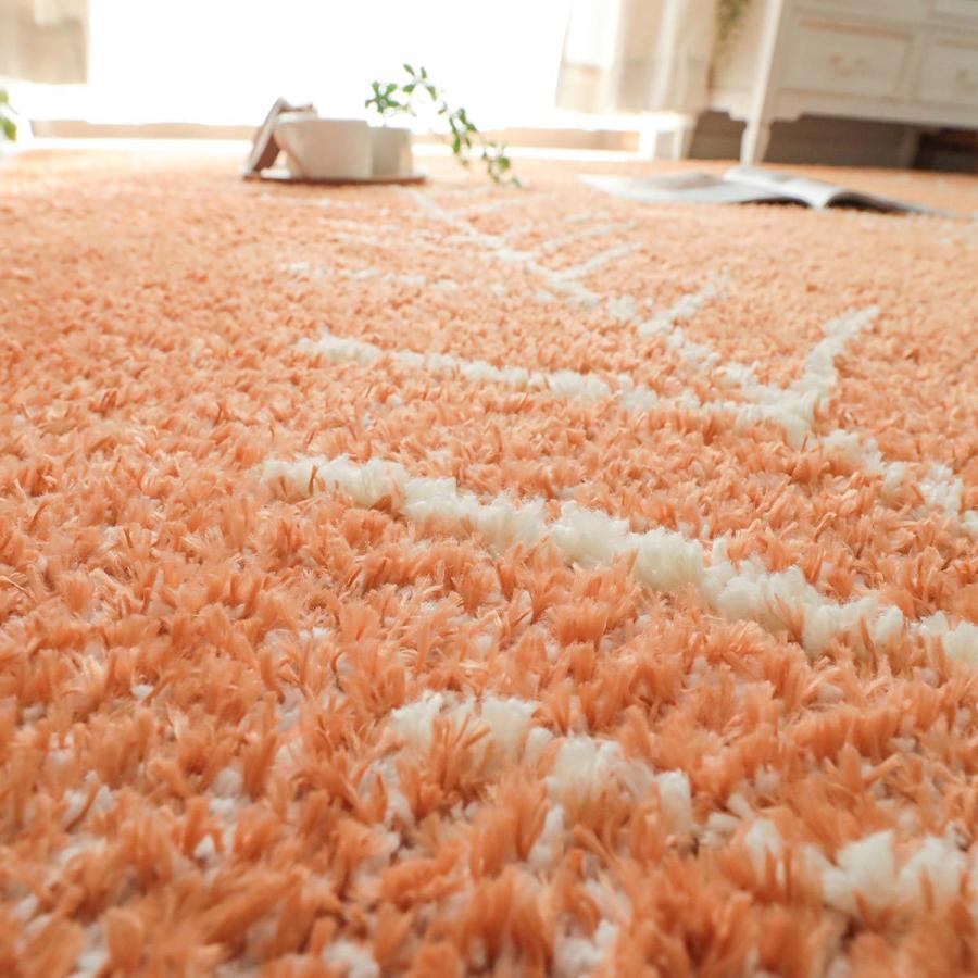 グラムスタイル ラグ ラグマット カーペット ウィルス対策 抗