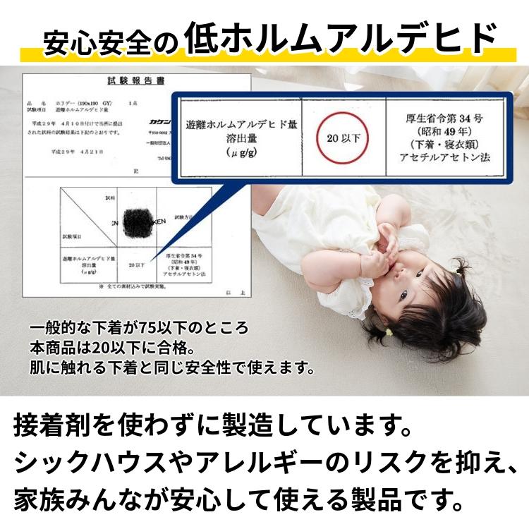 ラグ カーペット ラグマット 洗える 4畳 190×300 厚手 低反発 撥水 絨毯 オールシーズン 洗えるラグ 北欧 おしゃれ / ホリデープラス | グラムスタイル | 15