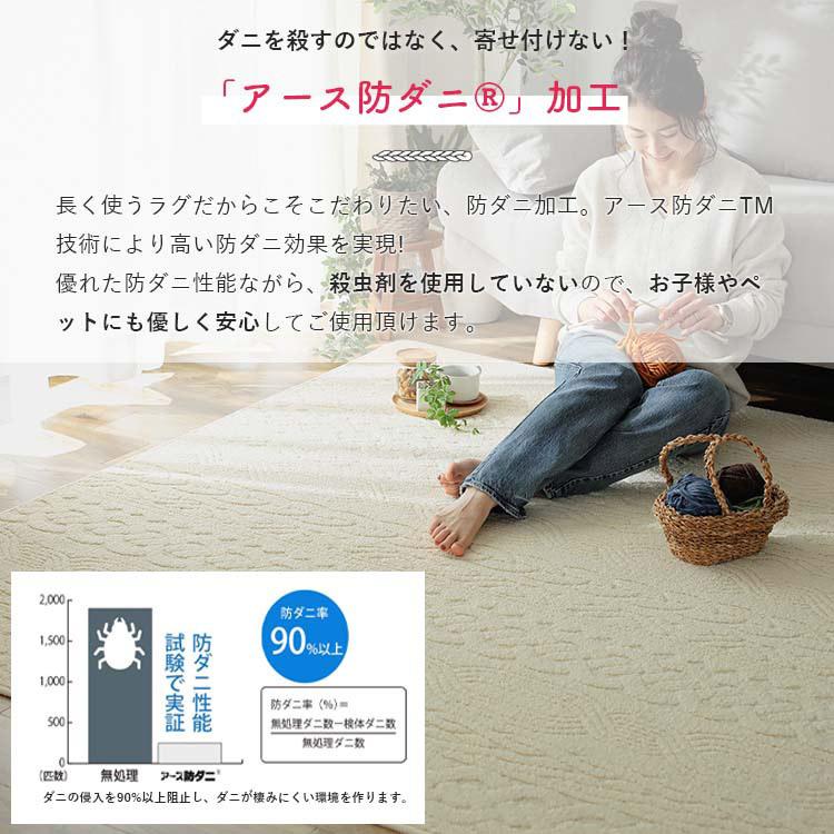 グラムスタイル ラグ カーペット 洗える 北欧 おしゃれ 3畳 190×240