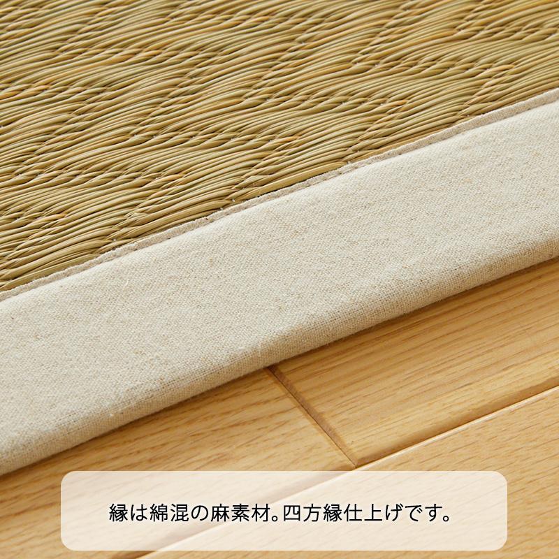 グラムスタイル い草ラグ 3畳 191×240 ふっくら ウレタン入り 井草ラグ
