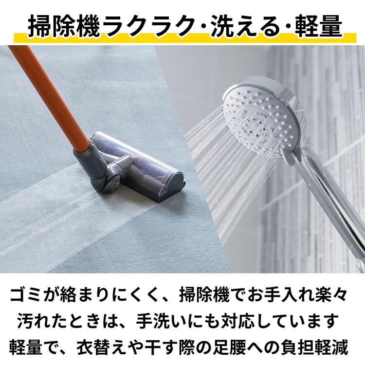 ラグ カーペット ラグマット 洗える 3畳 190×240 厚手 低反発 撥水 絨毯 オールシーズン 洗えるラグ 北欧 おしゃれ / ホリデープラス | グラムスタイル | 23