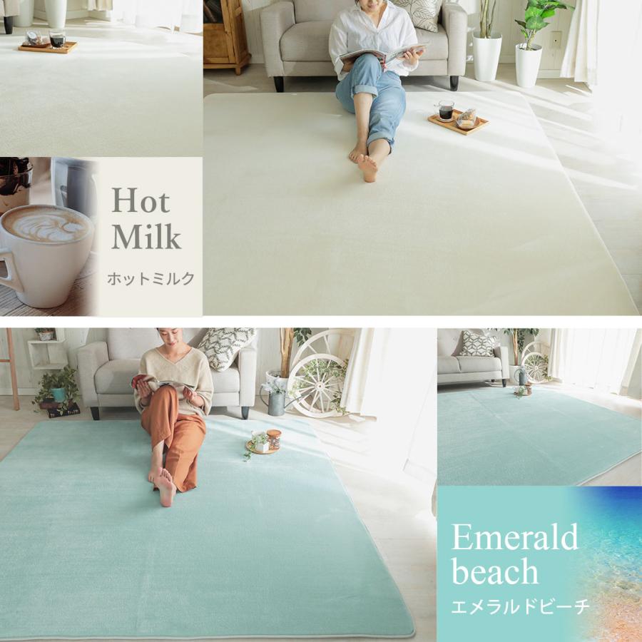 ラグ カーペット ラグマット 洗える 3畳 190×240 厚手 低反発 撥水 絨毯 オールシーズン 洗えるラグ 北欧 おしゃれ / ホリデープラス | グラムスタイル | 28