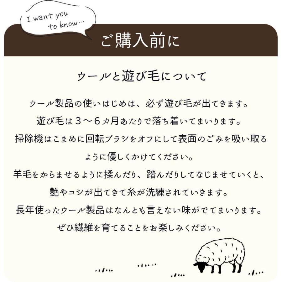 ギャベ ギャッベ 玄関マット 屋内 室内 風水 天然素材 手織り ウール 防炎 / アヤカ 60×90 cm｜rugly｜24