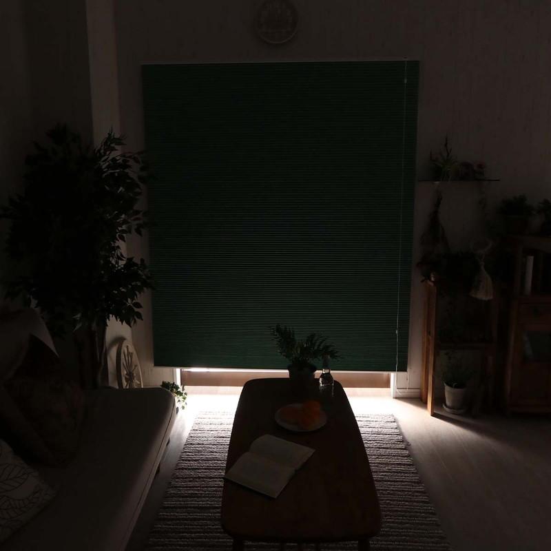 ハニカムスクリーン 遮光 オーダー 安い ロールスクリーン ブラインド ブラインドカーテン 遮熱 断熱 保温 / 1級遮光 コード式 | グラムスタイル | 30