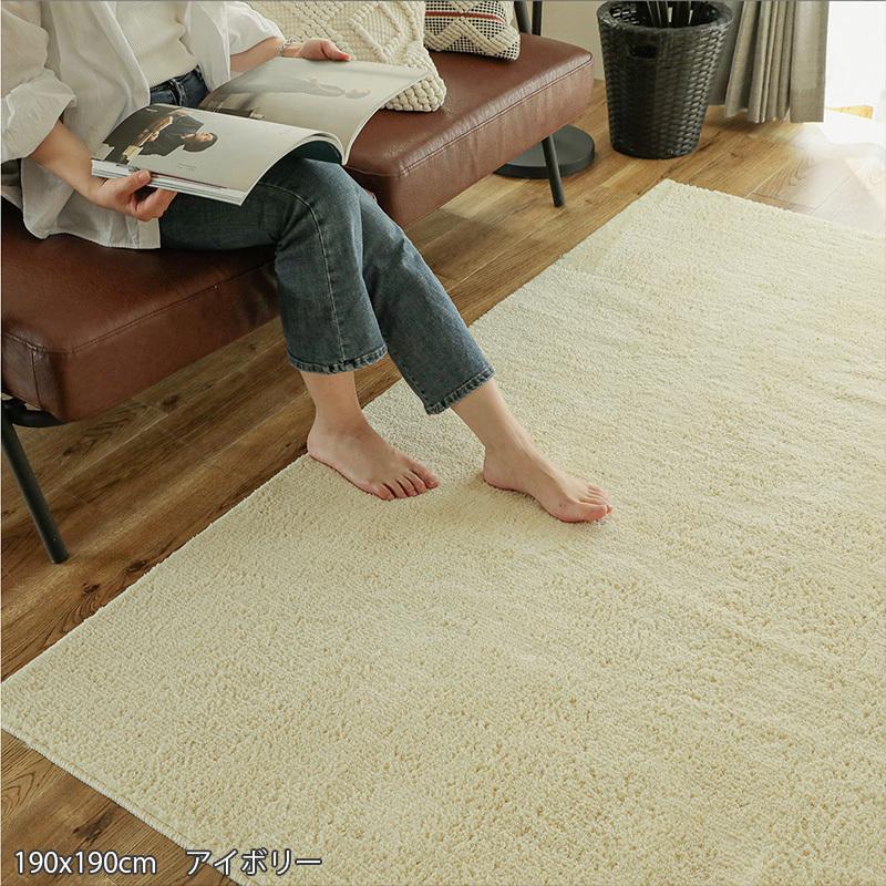 グラムスタイル ラグ カーペット 洗える 北欧 おしゃれ 3畳 190×240