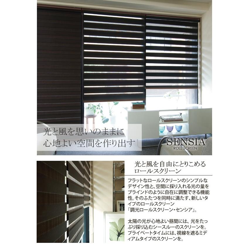 訳ありセール格安) 幅90×高さ200cm ナチュラルシリーズ ロールスクリーン 調光 センシア TOSO ロールスクリーン 訳ありセール格安) 幅90×高さ200cm ナチュラルシリーズ ロールスクリーン 調光 センシア TOSO ロールスクリーン