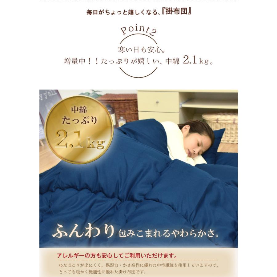 掛け布団 ダブル 単品 防ダニ 抗菌 防臭 吸湿 寝具 日本製 約190 掛け布団 ダブル 単品 防ダニ 抗菌 防臭 吸湿 寝具 日本製 約190