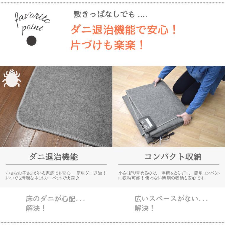 ホットカーペットセット 1.5畳 ラグ カバー 本体 セット 抗菌 防臭 防