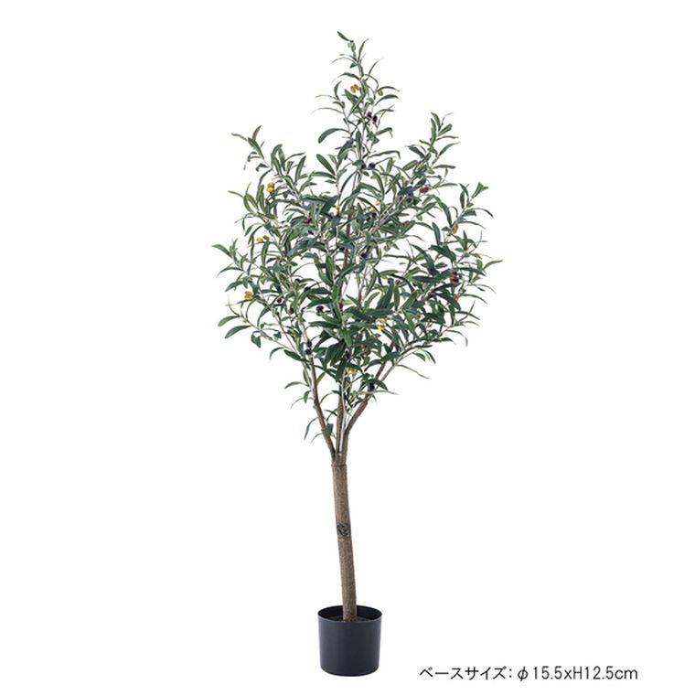 フェイクグリーン オリーブ 約W44*D44*H152 GRN-17 人工観葉植物 オリーブ 実 葉 造花 インテリア 癒し リーフ ガーデン 室内 飾りの画像