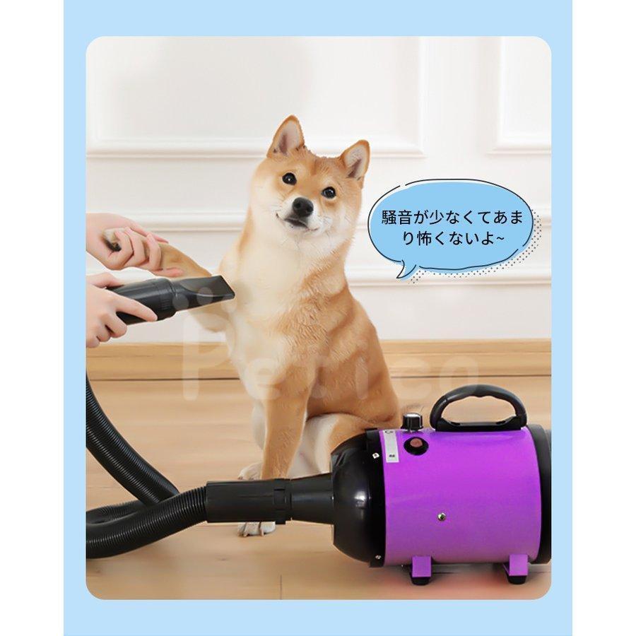 ペット ドライヤー 犬 安心の日本規格 PSE取得商品 ブロワー ペット ドライヤー 犬 安心の日本規格 PSE取得商品 ブロワー