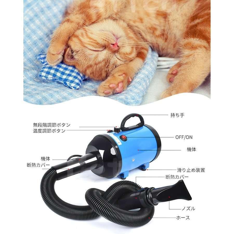 ペット ドライヤー 犬 安心の日本規格 PSE取得商品 ブロワー ペット ドライヤー 犬 安心の日本規格 PSE取得商品 ブロワー