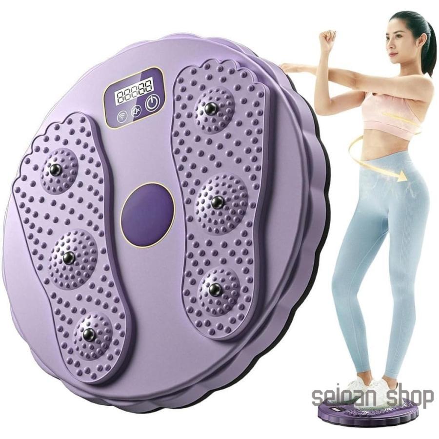 ダイエット運動不足に美品・定価8万 マックスバーン 白バランスボード ブルブル ダイエット運動不足に美品・定価8万 マックスバーン 白バランス