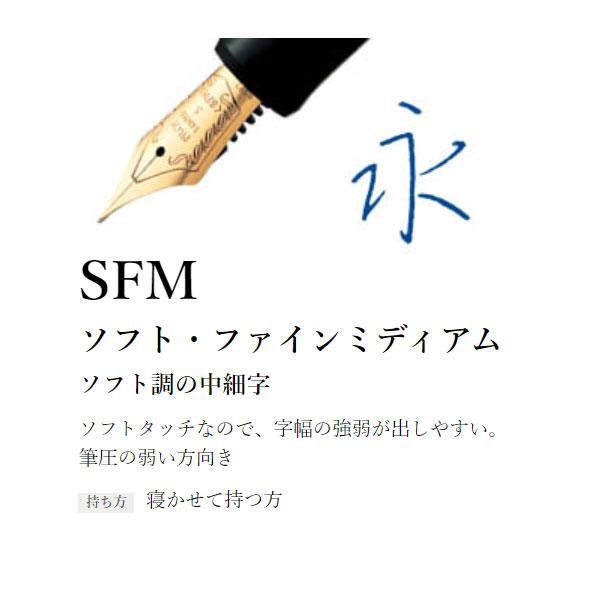 CUSTOM（PILOT） CUSTOM 74《カスタム74》万年筆［EF/F/SF/FM/SFM/M/SM