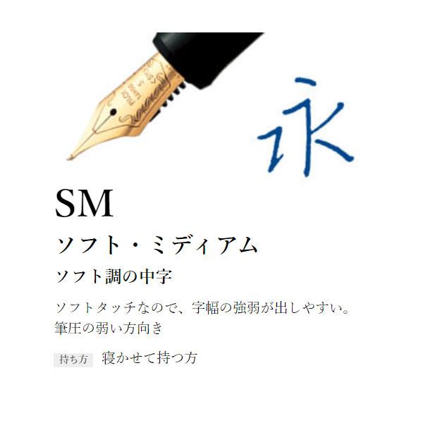 CUSTOM（PILOT） CUSTOM 74《カスタム74》万年筆［EF/F/SF/FM/SFM/M/SM