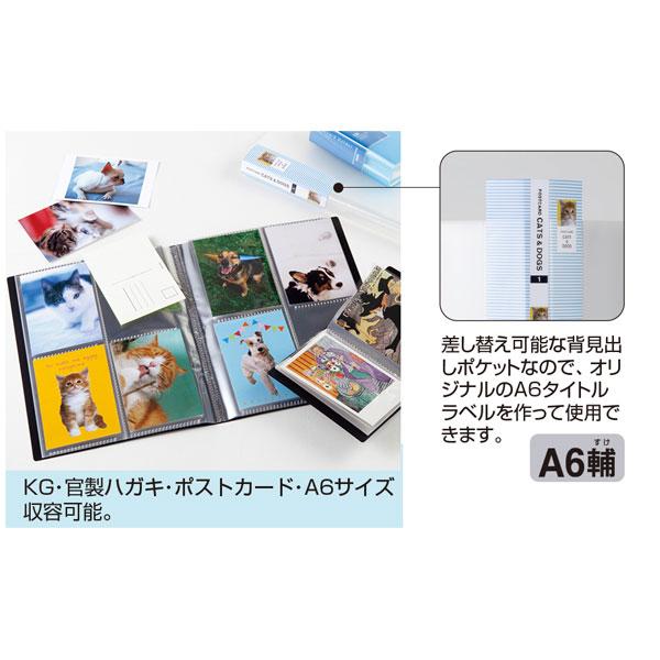 セキセイ 年賀状ホルダー 《高透明》A4 全3色 160-SKK-240K-*0