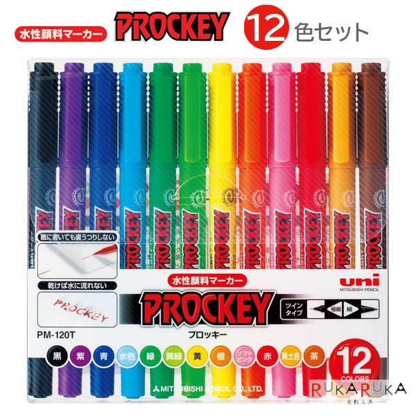 プロッキー マーカー 12色セット×11セット プロッキー ≪PROCKEY≫ [12色セット] 極細+細字丸芯 水性サインペン