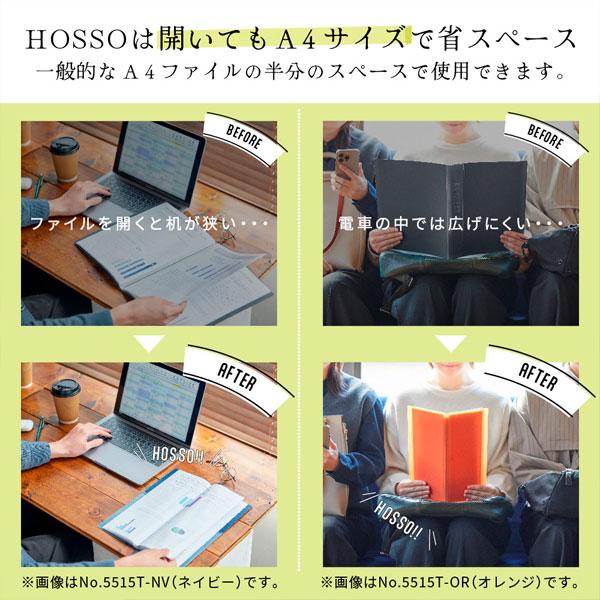 KING JIM（キングジム） クリアーファイル ≪HOSSO≫ ホッソ A4二