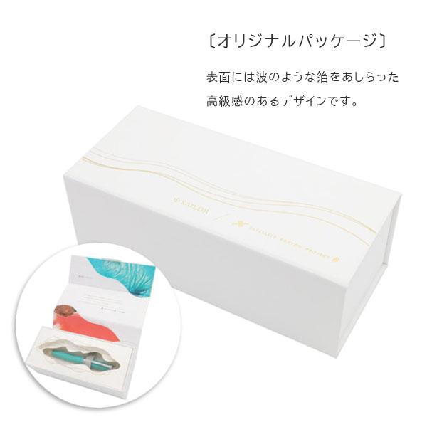 セーラー万年筆 海の万年筆 KOP [全2色] 中字(M) 21金 超大型 化粧