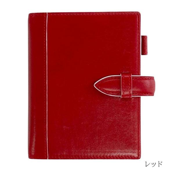 ASHFORD イシュー MINI6サイズ［1269］全4色 リングサイズ19mm ベルト  