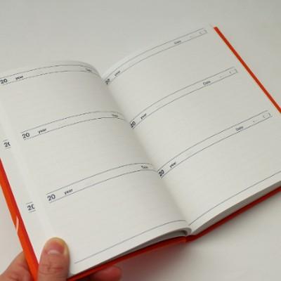 3年日記帳（Past 3Years Diary）アーティミス(ARTEMIS) DP3-140