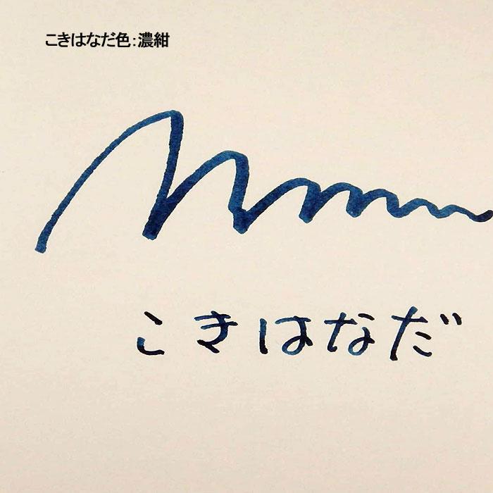 セーラー万年筆 □限定品□ セーラー万年筆×ツバメノート 万年筆