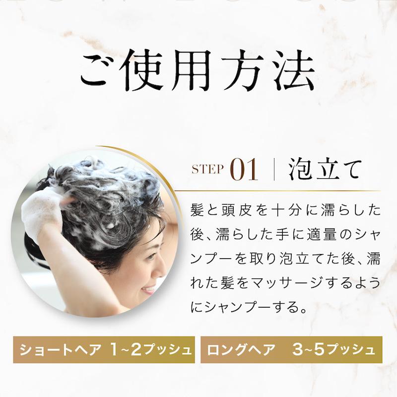 毎日5分置くだけ】白髪用ブラックシャンプー MODAMODA BLACK SHAMPOO