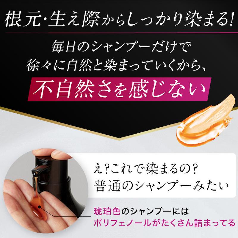 毎日5分置くだけ】白髪用ブラックシャンプー国内正規品 MODAMODA BLACK