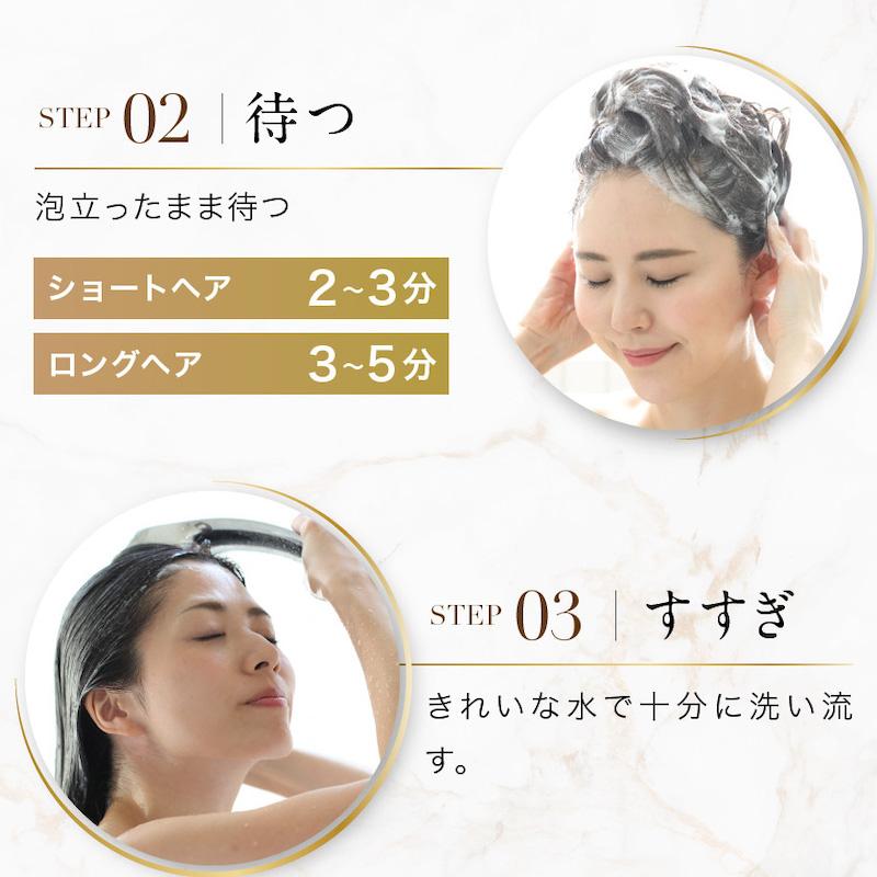 白髪用ブラックシャンプー MODAMODA BLACK SHAMPOO PREMIUM 白髪用ブラックシャンプー MODAMODA BLACK SHAMPOO PREMIUM