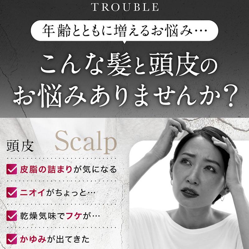 白髪用ブラックシャンプー MODAMODA BLACK SHAMPOO PREMIUM 白髪用ブラックシャンプー MODAMODA BLACK SHAMPOO PREMIUM