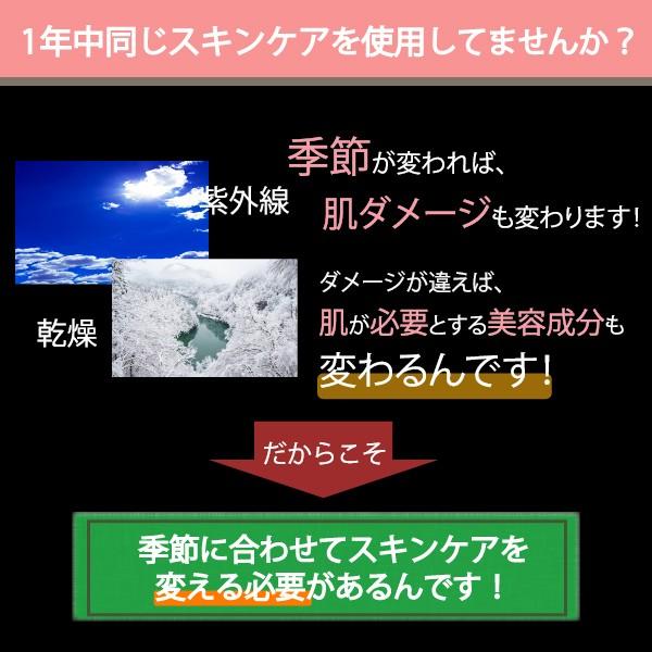 春夏と秋冬のセット商品 オールインワン化粧品 高保湿 うるおい 毛穴 時短 スキンケア リピーター続出中｜rumeiyu｜03