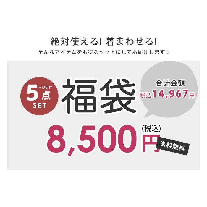 福袋 21 レディース コーデ福袋 ハッピーバッグ ごほうび福袋 5点 トップス 羽織り おまけ おすすめ M L 中身 人気 お得 着回し 体型カバー 送料無料 Aquagarage アクアガレージ 通販 Paypayモール