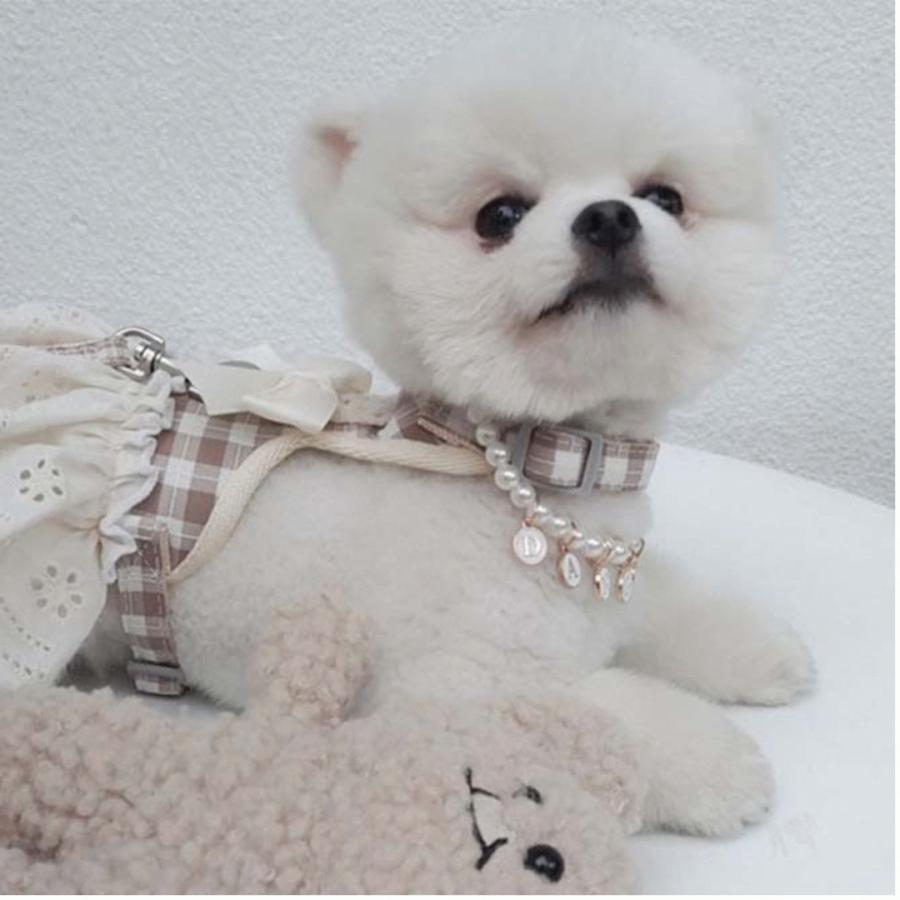 ペットハーネス 犬用ハーネスリード付きセット フリフリレース 可愛い
