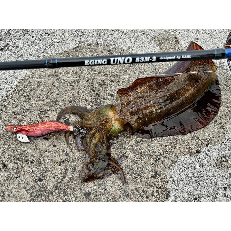 【HYS TE931さん専用】　ライカル　RE-892E  エギングロッド GTRも！PMLも！】秋エギングにおすすめのロッドをまとめて紹介