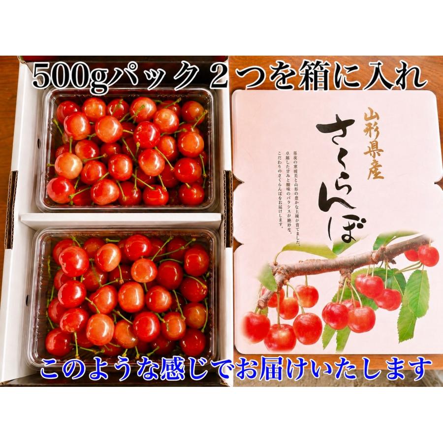 山形県産さくらんぼ 紅秀峰 1kg 秀品 Lサイズ 6月25日頃クール便発送