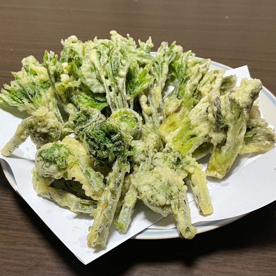 山菜天ぷらセット「天と地」【コシアブラ・コゴミのコラボ】 4月25