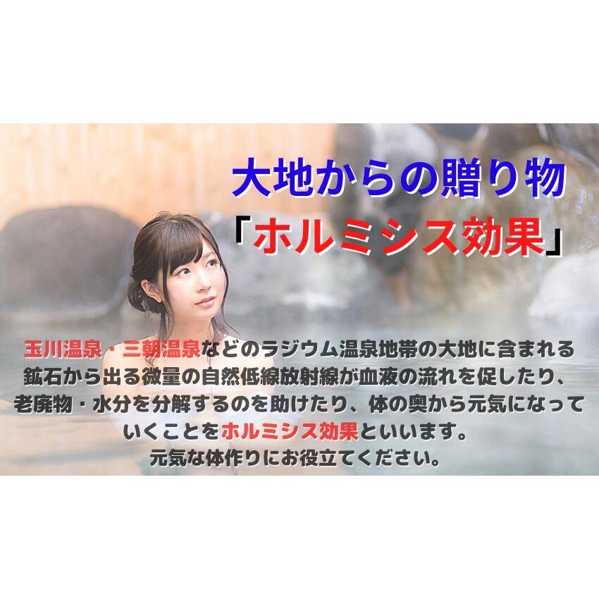 鉱石とＮＭＮのコラボ Runa ほるみん 25ｇとＮＭＮ配合 ほるみすと   アロマ デトックス リンパ 美肌  岩盤浴 |  | 03