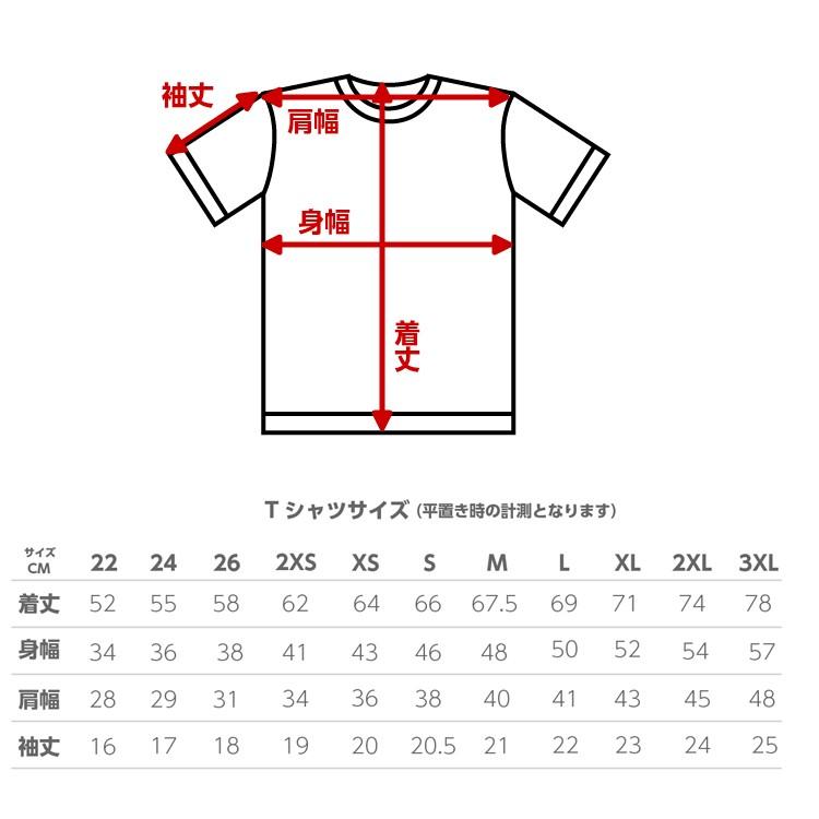 tシャツ　ハーフパンツ　短パン　上下２点セット　スポーツウェア メンズ レディース　キッズ　GYM　ジム　ランニング |  | 01
