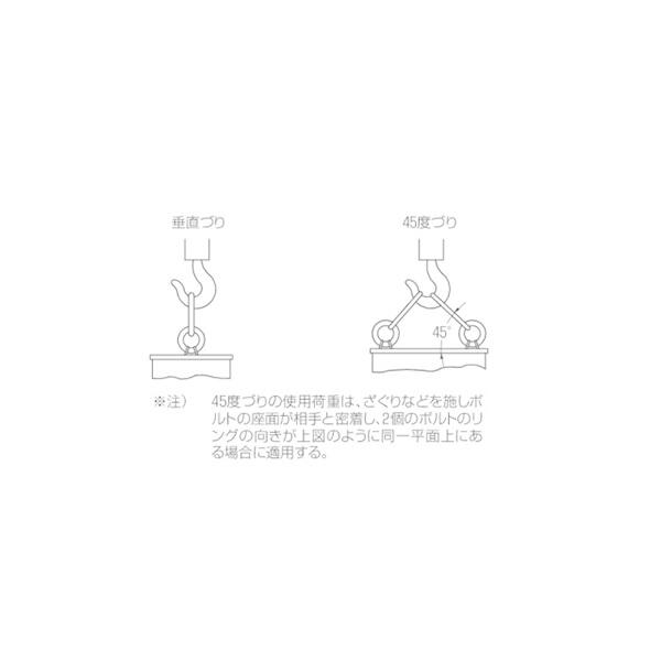 返品不可 アイボルト（Mねじ） 生地 M48 10701AM48 コンドーテック