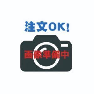 長谷川工業 《構成部材》 快適ステージ 手摺パネル 15150　法人宛限定