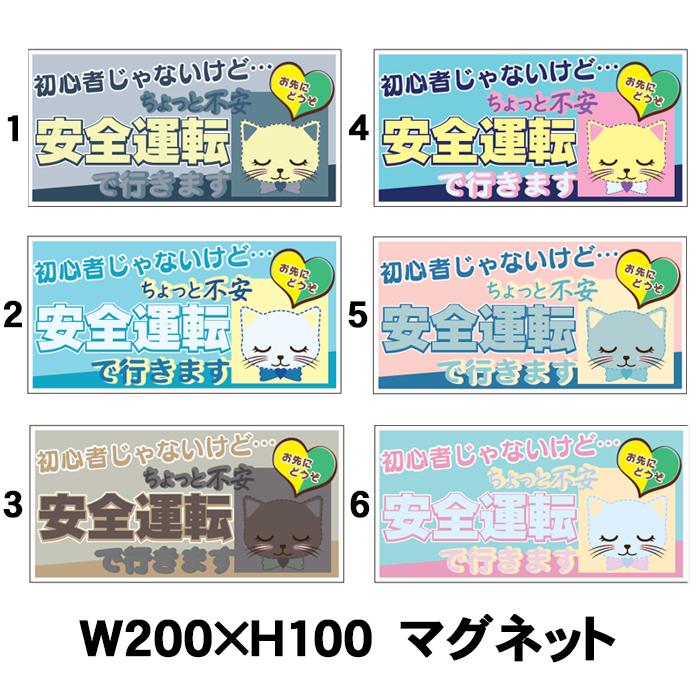 猫マグネット 初心者じゃないけど ちょっと不安 安全運転で行きます