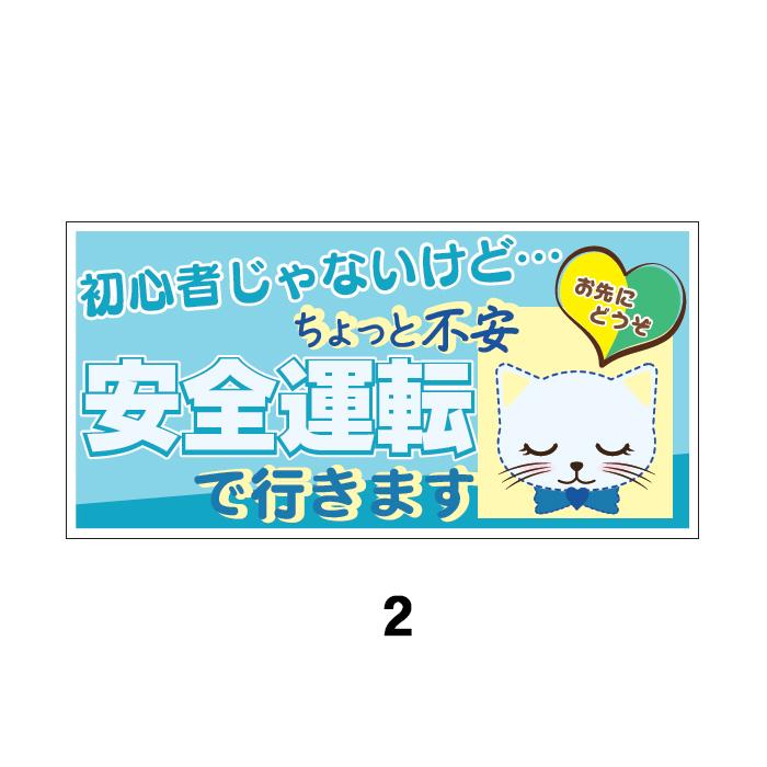 猫マグネット 初心者じゃないけど ちょっと不安 安全運転で行きます