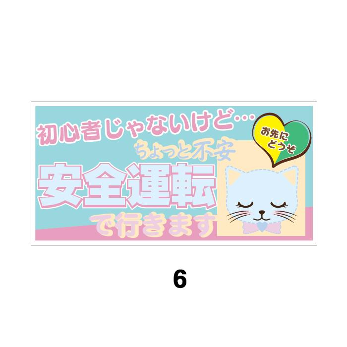 猫マグネット 初心者じゃないけど ちょっと不安 安全運転で行きます
