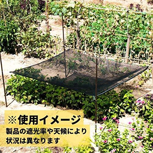 ダイオ化成 遮光ネット ダイオネット 1010 カラミ織 黒 遮光率70% 2x2m