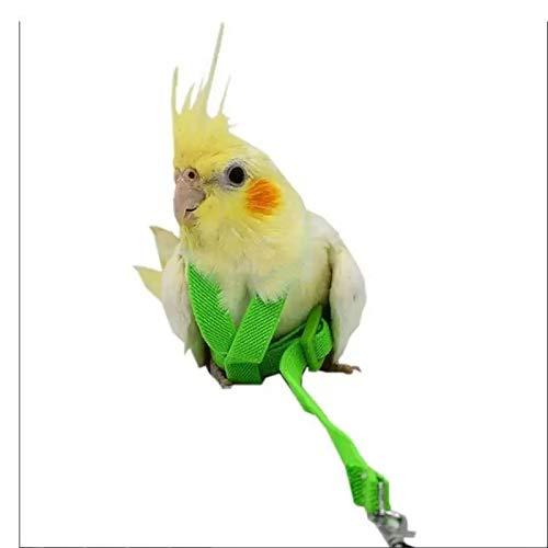 鳥用リード 鳥ハーネス トラクションロープ インコ/鳥/オカメインコ/ハムスター/カメレオン/トカゲ リード リーシュロープ アウトドア ウォーキング｜rung｜06