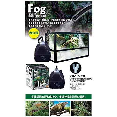ゼンスイFog加湿器 Amazon | ゼンスイ Fog(フォグ) 爬虫類・植物加湿器 | ゼンスイ