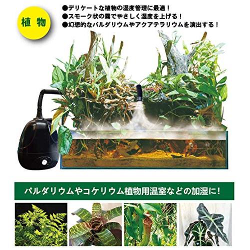 ゼンスイ Fog 霧化装置 未使用品　爬虫類　両生類　植物用 加湿器 Amazon | ゼンスイ Fog(フォグ) 爬虫類・植物加湿器 | ゼンスイ